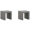 Set van 2 stoelen Beton Grijs TARANTO