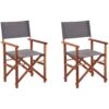 Set van 2 stoelen Hout Grijs CINE