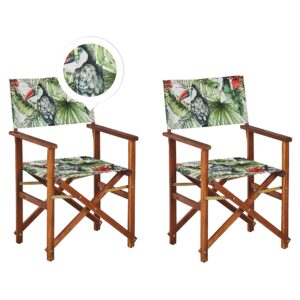 Set van 2 stoelen Hout Groen CINE