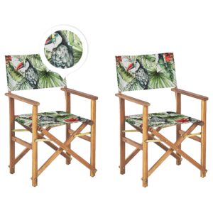 Set van 2 stoelen Hout Groen CINE