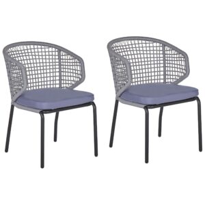 Set van 2 stoelen Metaal Grijs PALMI