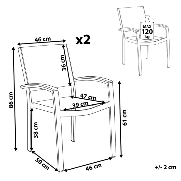 4251682215060 Set van 2 stoelen Metaal Grijs PERETA