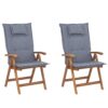 Set van 2 stoelen met kussen Hout Blauw JAVA